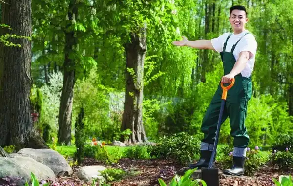 landscaping services Knightsville